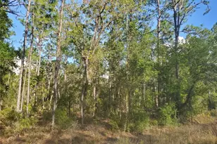 Tbd SW 159 Ave, Ocala, FL 34481 - Photo 1