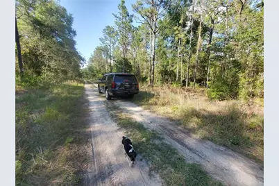 Tbd SW 159 Avenue, Ocala, FL 34481 - Photo 6