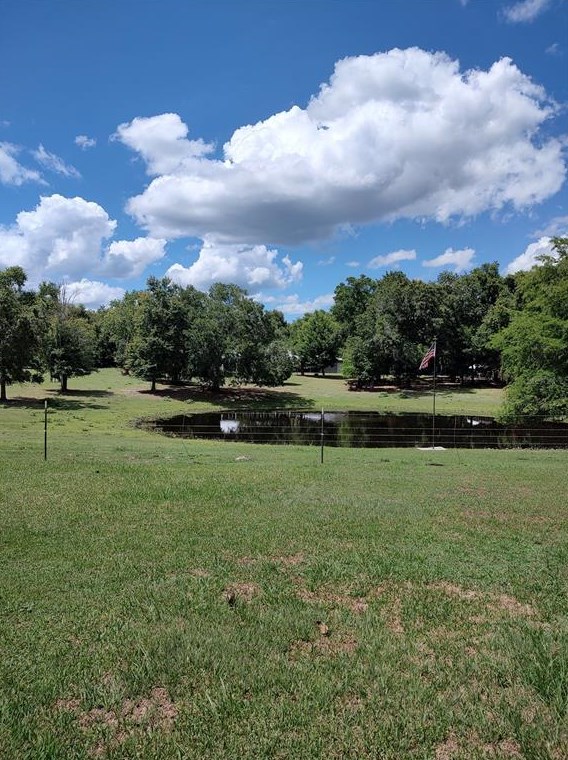 13057 122nd Pl, Ocklawaha, FL 32179-5137
