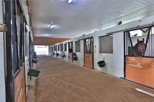 19431 NE 17 Pl, Williston, FL 32696 - Photo 38