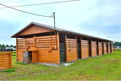 19431 NE 17th Place, Williston, FL 32696 - Photo 44