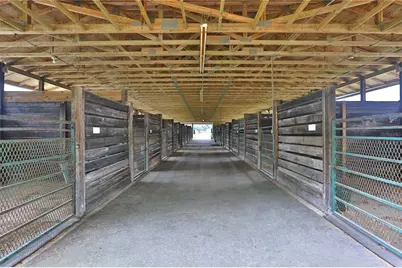 19431 NE 17th Place, Williston, FL 32696 - Photo 46