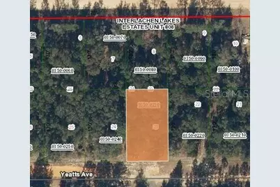 Yeatts Avenue, Interlachen, FL 32148 - Photo 1