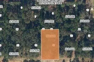 Yeatts Ave, Interlachen, FL 32148 - Photo 1