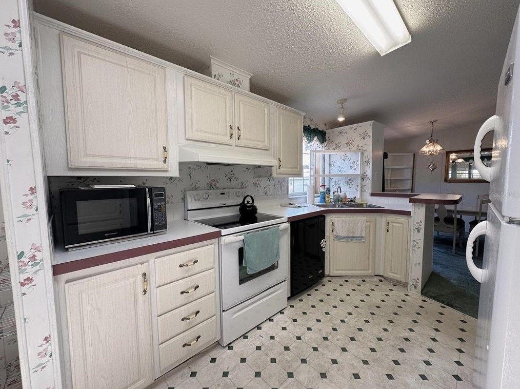343 Nesbitt Park Ave, Davenport FL  33897-8231 exterior