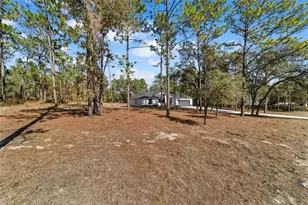 13359 SW 80th St, Dunnellon, FL 34432 - Photo 64
