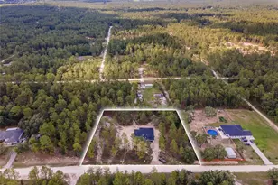 13359 SW 80th St, Dunnellon, FL 34432 - Photo 2