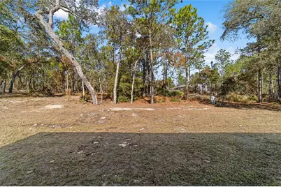 13359 SW 80th Street, Dunnellon, FL 34432 - Photo 60