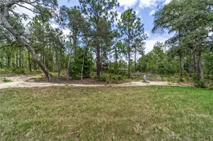 13359 SW 80th St, Dunnellon, FL 34432 - Photo 10
