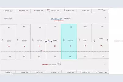 705 Calendula Drive, Indian Lake Estates, FL 33855 - Photo 2