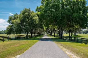 12520 NW 160th St, Reddick, FL 32686 - Photo 70