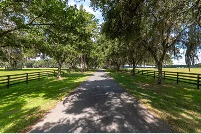 12520 NW 160th Street, Reddick, FL 32686 - Photo 16