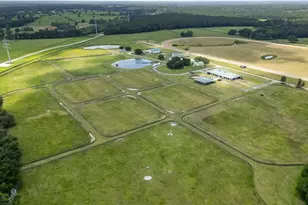 12520 NW 160th St, Reddick, FL 32686 - Photo 8