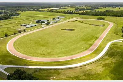 12520 NW 160th Street, Reddick, FL 32686 - Photo 4