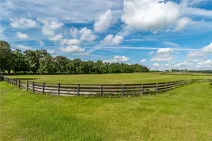 12520 NW 160th St, Reddick, FL 32686 - Photo 22