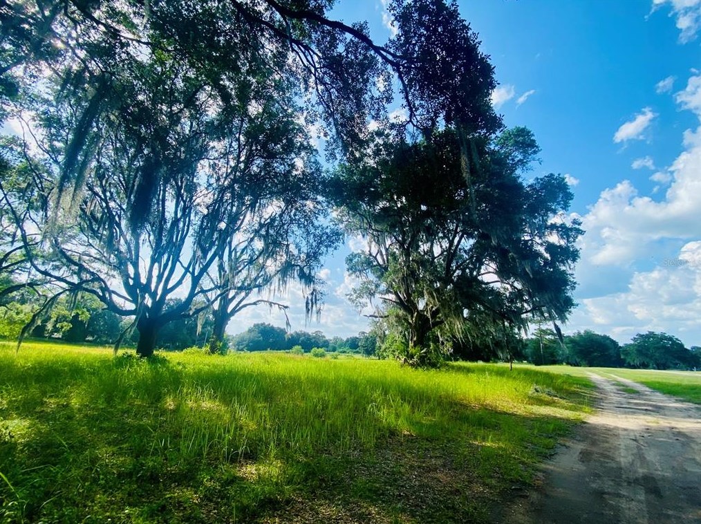 5075 97th Street Rd, Anthony, FL 32617-3931