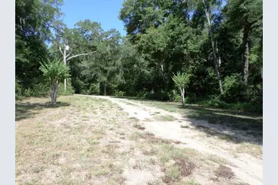 796 W Lightwood St, Citrus Springs, FL 34434 - Photo 4