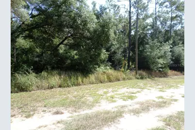 796 W Lightwood St, Citrus Springs, FL 34434 - Photo 6