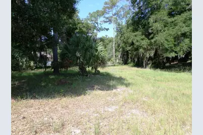 00 Blue Heron Ct, Dunnellon, FL 34432 - Photo 1