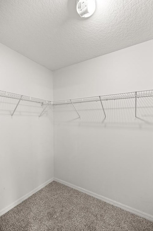 5907 Summerfield Pt, Dunnellon FL  34434-8261 exterior