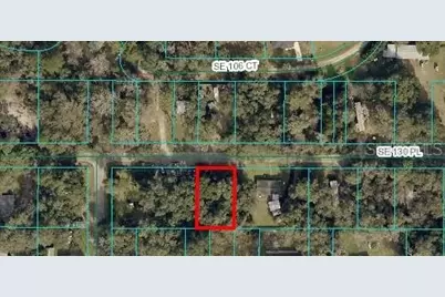 Tbd SE 130th Place, Ocklawaha, FL 32179 - Photo 2