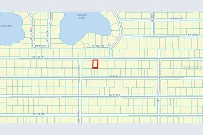 Tbd SE 130th Place, Ocklawaha, FL 32179 - Photo 1
