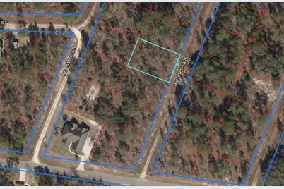 Lot 5 NE 156 Avenue, Williston, FL 32696 - Photo 1