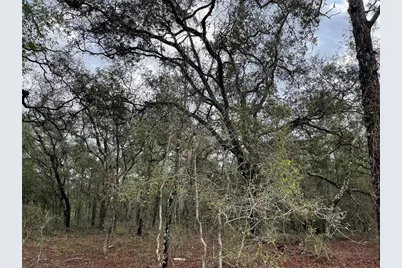 Lot 8 NE 120 Avenue, Williston, FL 32696 - Photo 2