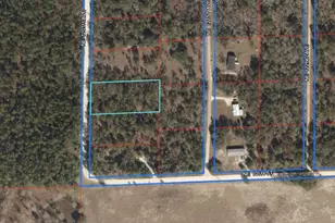 Lot 8 NE 120 Ave, Williston, FL 32696 - Photo 1