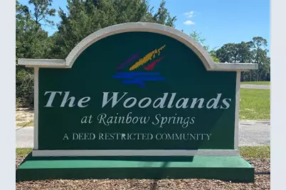 Lot 57 SW 203 Avenue, Dunnellon, FL 34431 - Photo 4