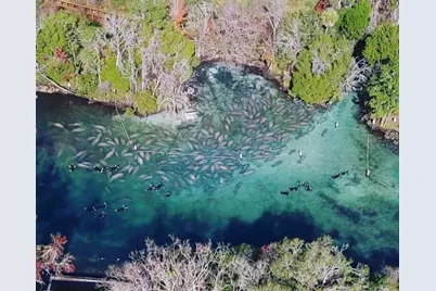 4331 S Marcan Terrace, Homosassa, FL 34446 - Photo 12