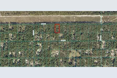 Sw 150th Street, Dunnellon, FL 34432 - Photo 1