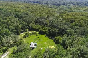 104 NE 304th Ave, Old Town, FL 32680 - Photo 8