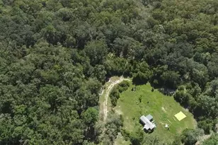 104 NE 304th Ave, Old Town, FL 32680 - Photo 12