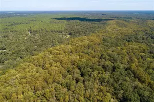 104 NE 304th Ave, Old Town, FL 32680 - Photo 20