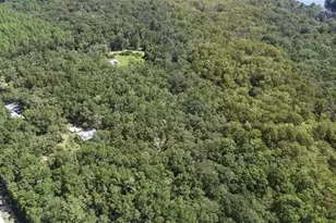 104 NE 304th Ave, Old Town, FL 32680 - Photo 24