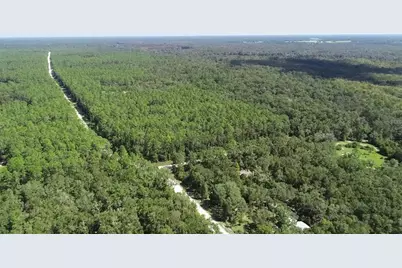 104 NE 304th Avenue, Old Town, FL 32680 - Photo 28