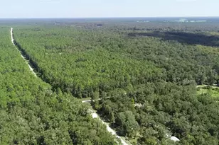 104 NE 304th Ave, Old Town, FL 32680 - Photo 28