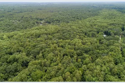 104 NE 304th Avenue, Old Town, FL 32680 - Photo 48