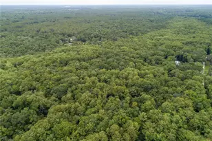 104 NE 304th Ave, Old Town, FL 32680 - Photo 48