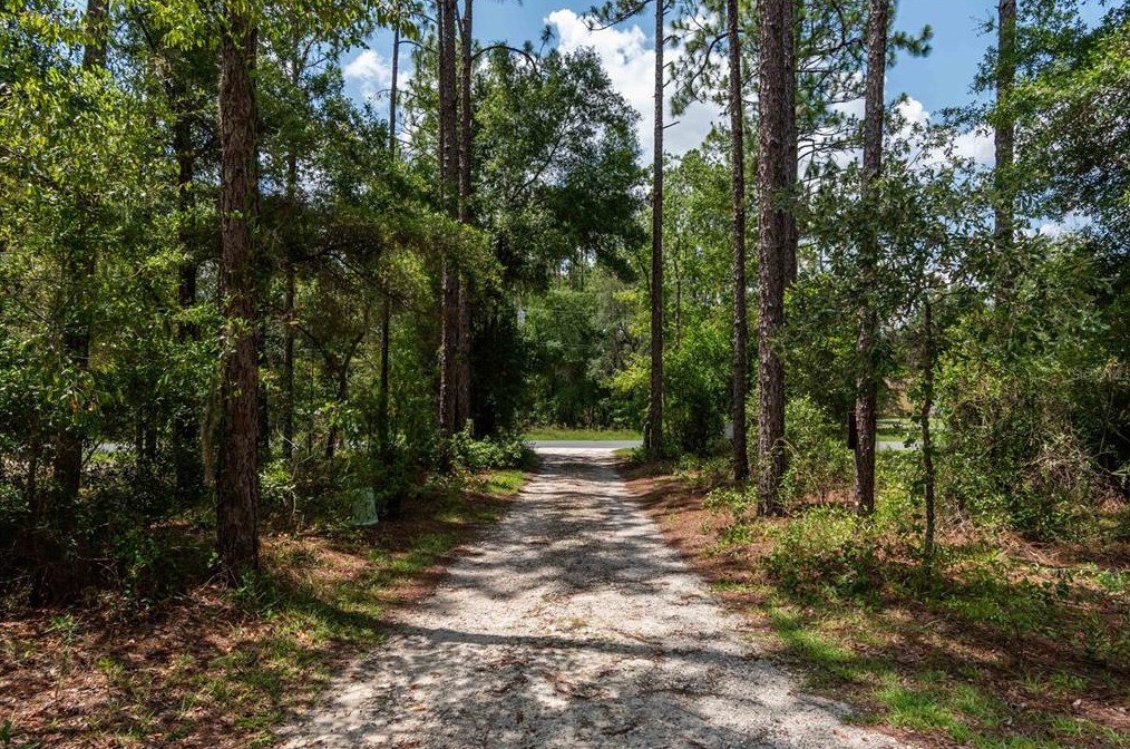 18565 Sw 60th St, Dunnellon, FL 34432