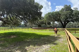 12500 NW 100th St, Ocala, FL 34482 - Photo 68