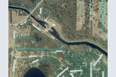 Sequoia Drive, Ocklawaha, FL 32179 - Photo 2