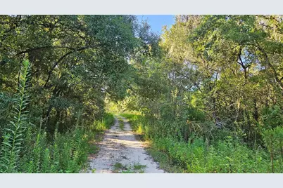 1105 Constitution Way, Inverness, FL 34453 - Photo 6