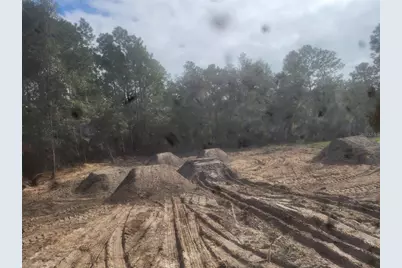 Lot 9 SW 79th Terrace, Ocala, FL 34473 - Photo 8