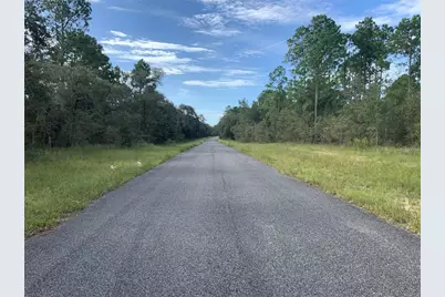 00 SE 139th Terr Lot 11, Morriston, FL 32668 - Photo 2