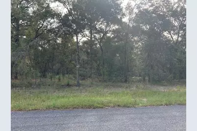 00 SE 139th Terr Lot 11, Morriston, FL 32668 - Photo 1