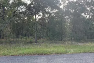 00 SE 139th Terr Lot 11, Morriston, FL 32668 - Photo 1