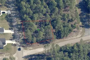 1951 W Adelia Pl, Citrus Springs, FL 34434 - Photo 1