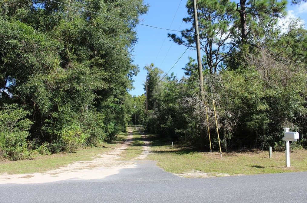 19301 Sw 60th St, Dunnellon, FL 34432